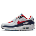 (GS) Nike Air Max 90 'USA Denim' DJ5177-100